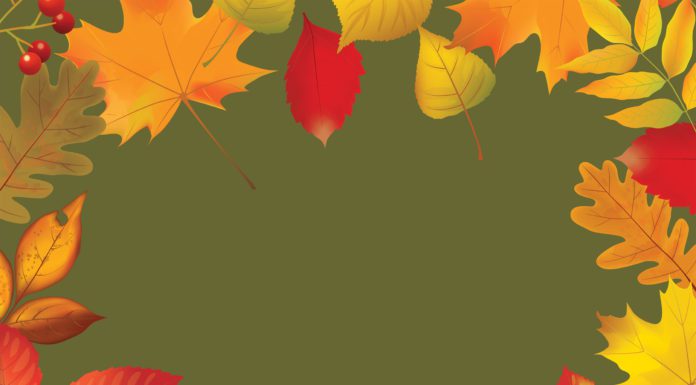 Fall Festival Preview