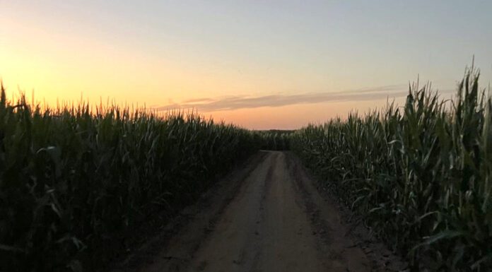 Festive and Frightful