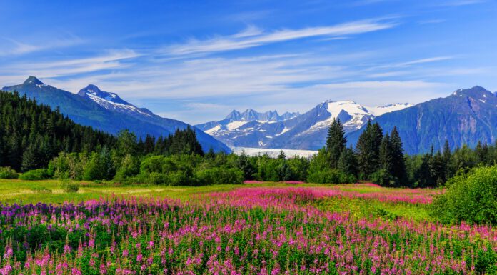 We Talk a Lot About Juneau