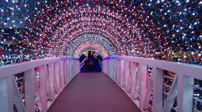 Lights, Skating, Crawls and Honey