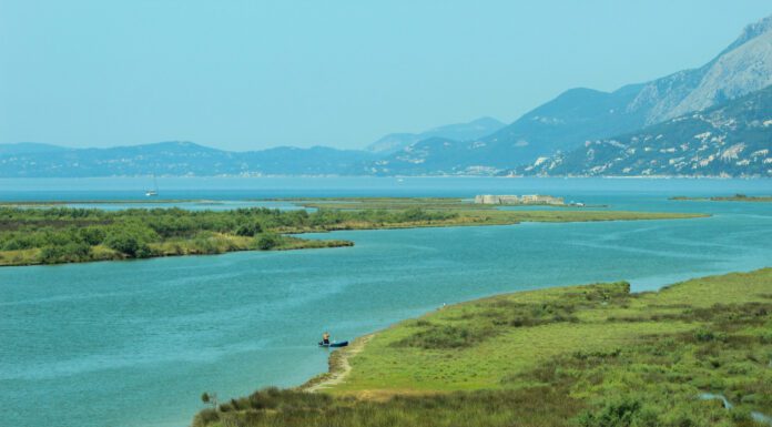 Turning Tides and A Welcomed Surprise