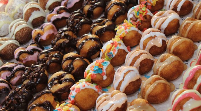 Sugar Llamas Photo courtesy Sugar Llamas