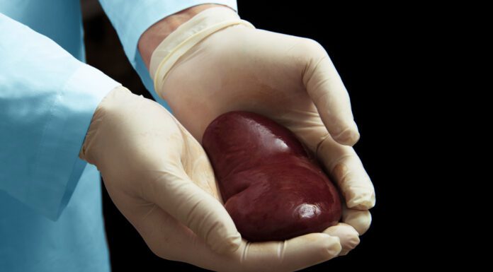 The Power of Donation