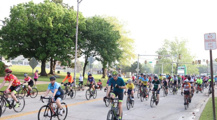 Fun for All, All for Fun