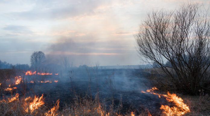 (Don’t) Let It Burn