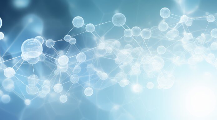 Top Doctors 2024 List