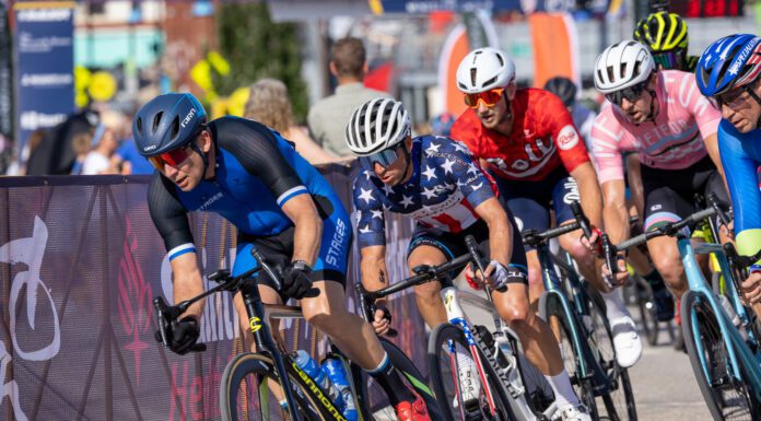 A Little Bit of Everything