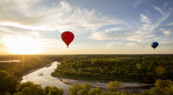 Enjoying the Dog Days of Summer Firelake Fireflight Balloon Fest