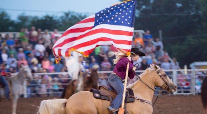 Play Ball! Will Rogers Memorial Rodeo