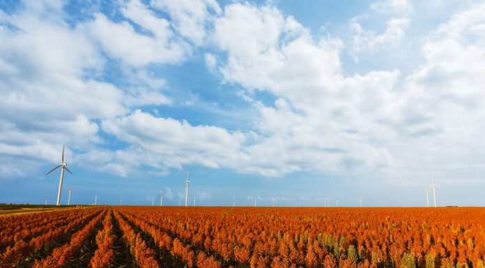 Going with the Grain