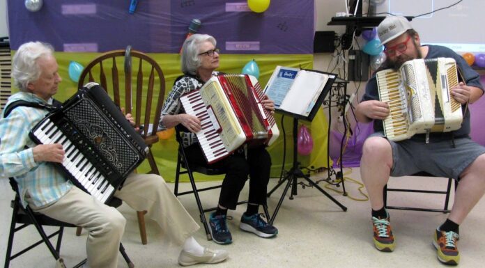 Jamming Accordion-ly