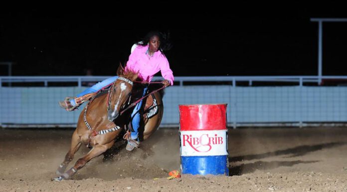 A History of Excellence