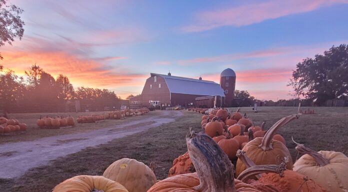 It’s Fall, Y’all