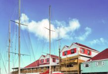 Exploring the Wilderness Island