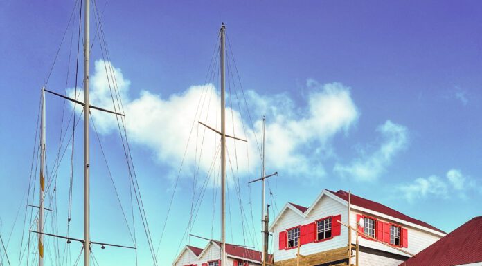 Exploring the Wilderness Island