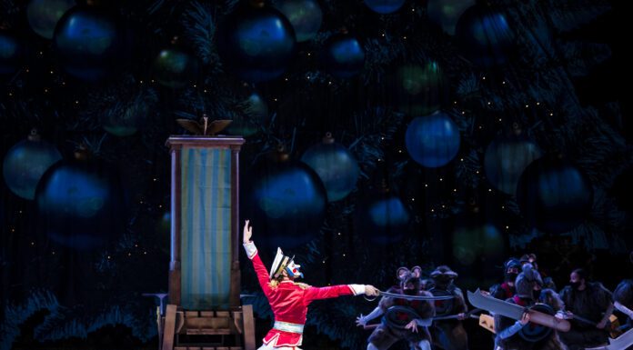 Something for Everyone