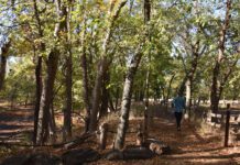 For a Winter Sojourn