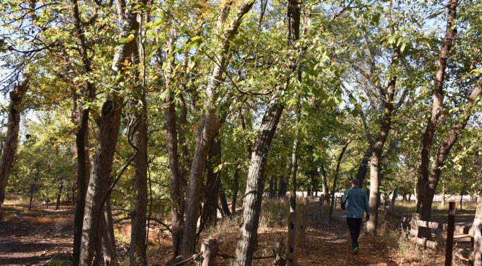 For a Winter Sojourn