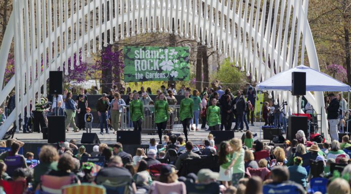 Feeling Green – In a Good Way