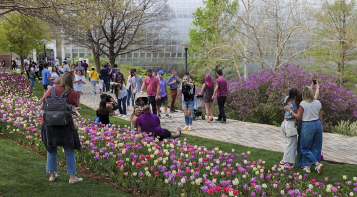 Flowers, Film and Fly-Ins