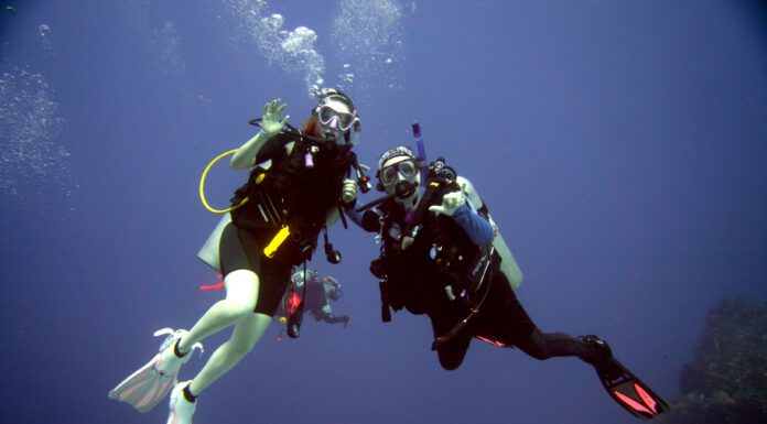 The Wonders Beneath the Waves