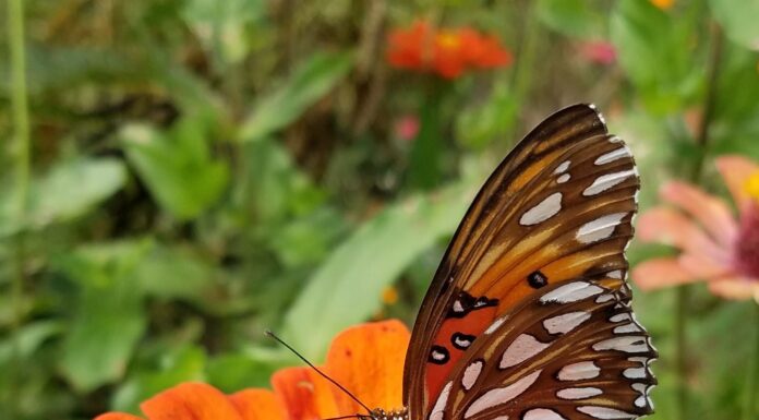 Endless Opportunities for Discovery