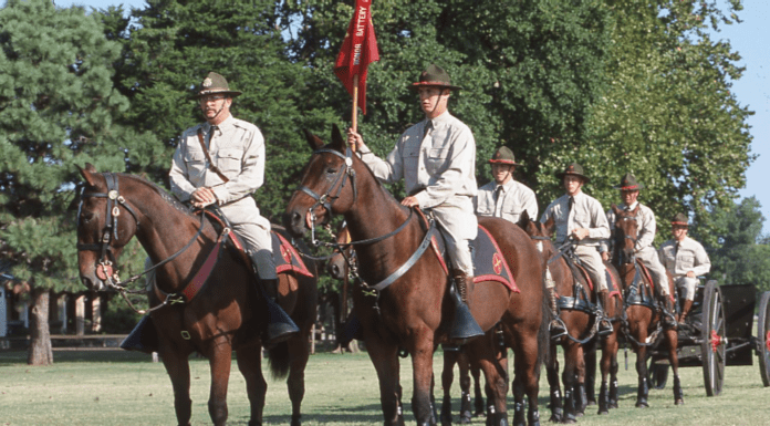 Harboring A Lot of History