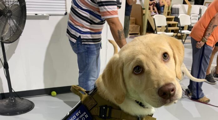 Offering Hard-Earned Assistance