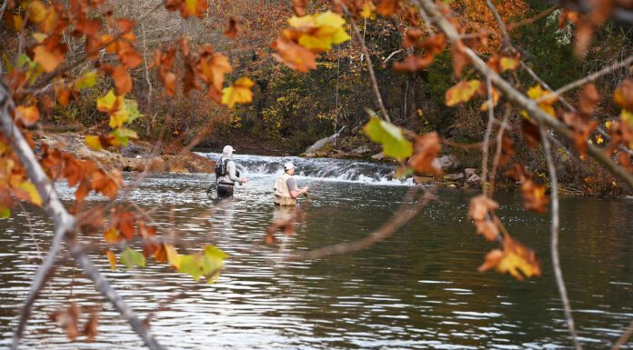 Father’s Day Festivities