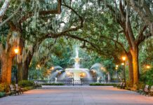 Sultry and Somber Savannah