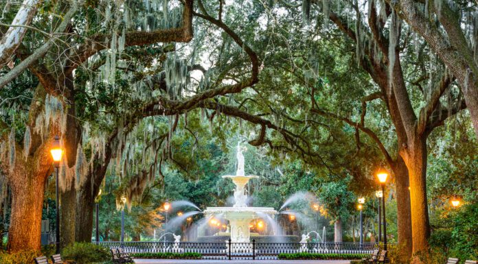 Sultry and Somber Savannah