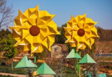 Heartland Happenings