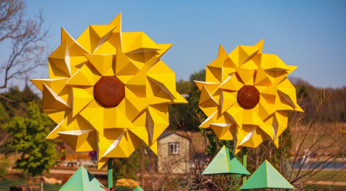 Heartland Happenings