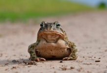 Sightings and Science