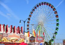 Deep-Fried Delights & Sky-High Rides