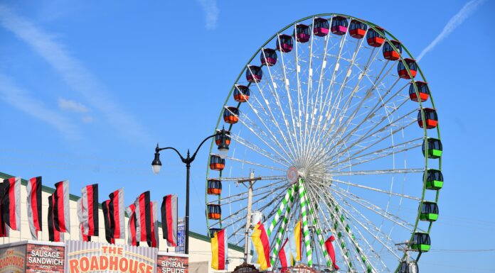 Deep-Fried Delights & Sky-High Rides