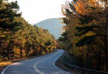 The Great Autumnal Glow-Up