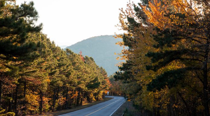 The Great Autumnal Glow-Up