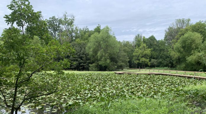 Small Town, Big Story