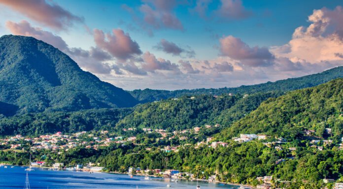Delve Deep into Dominica