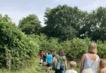 The City’s Harvest