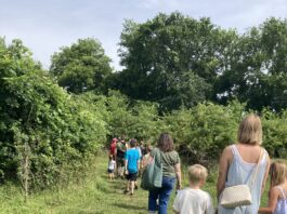 The City’s Harvest