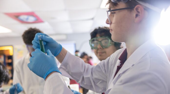 Beyond the Traditional Classroom