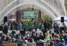 Saint Patrick’s Day Revelry