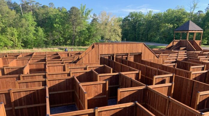 Where Nature and Play Converge