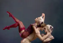 A Full Bloom of Performances