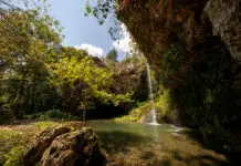 Small-Town Charm Meets Big-Picture Opportunity