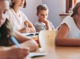 A New School Support Model