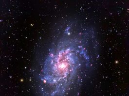 Saving the Night Sky