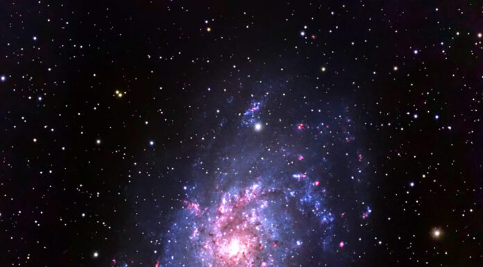 Saving the Night Sky